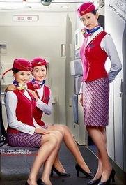 空姐娱乐图片大全,空姐娱乐图片大全精选瞬间